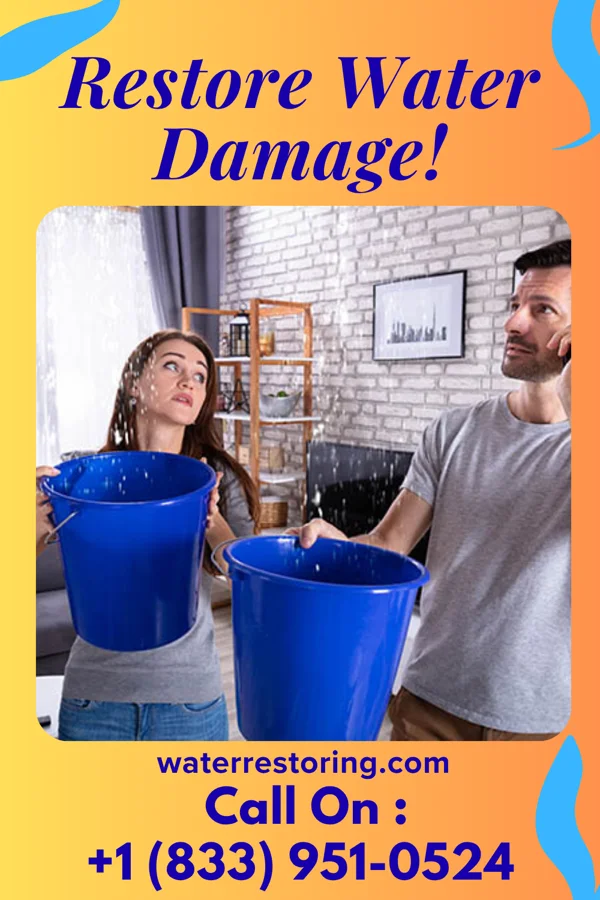 water restoration Best Flood Cleanup Professionals Carrsville